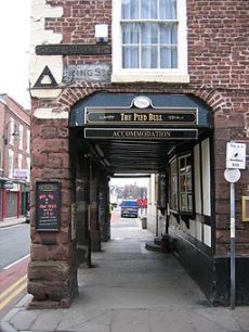 The Pied Bull